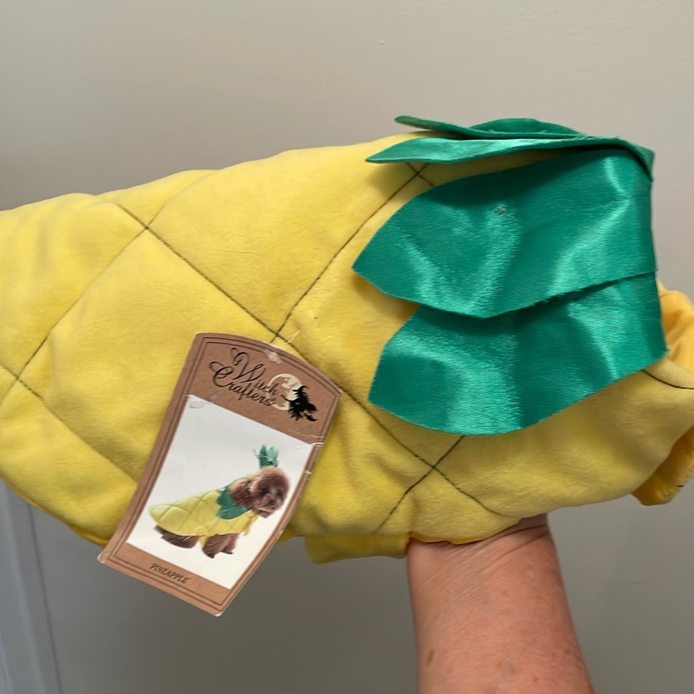 Yellow and Green Dog Costume